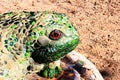 Decorative Mosaic Tile Frog in a garden