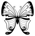 Decorative moth with black ornament wings. Butterfly tattoo Royalty Free Stock Photo