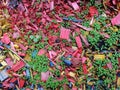 Decorative mulch of wood chips Royalty Free Stock Photo