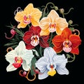 Tropical orchid flowers on dark background in vector pop art style