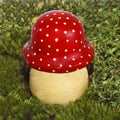 Decorative mushroom fly agaric.