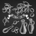 Decorative olive vector set