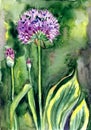 Decorative onion Allium on a bed, watercolor painting