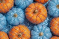 Decorative orange and blue pumpkins wrapped in net creating a fall background Royalty Free Stock Photo