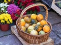 Decorative organic pumpkins in rattan basket