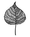 Ornamental leaf art