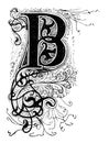 Capital Decorative Ornate Letter B, With Floral Embellishment Or Ornament. Vintage Antique Drawing