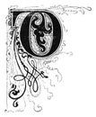 Capital Decorative Ornate Letter D, With Floral Embellishment or Ornament. Vintage Antique Drawing