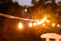 Decorative outdoor string lights hanging on the tree in the back yard at night time close, midges buzzing around on a summer