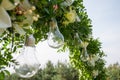 Decorative outdoor string lights hanging on tree in the garden. Light bulb decor in outdoor party. Royalty Free Stock Photo