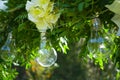 Decorative outdoor string lights hanging on tree in the garden. Light bulb decor in outdoor party. Royalty Free Stock Photo