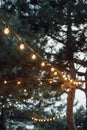 Decorative outdoor string lights hanging on tree in the garden at night time Royalty Free Stock Photo