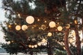 Decorative outdoor string lights hanging on tree in the garden at night time Royalty Free Stock Photo