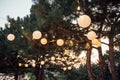 Decorative outdoor string lights hanging on tree in the garden at night time Royalty Free Stock Photo