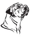 Decorative portrait of Boerboel Dog vector illustration