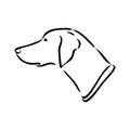 Decorative outline portrait of cute pointer dog vector illustration in black color isolated on white background Royalty Free Stock Photo