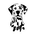 Decorative outline portrait of Dog Dalmatian vector illustration in black color isolated on white background. Image for design and