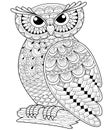 Decorative owl. Adult antistress coloring page