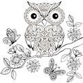 Decorative owl on a flowering branch coloring book for adults. Hand drawn Decorative owl for the anti stress coloring page. Royalty Free Stock Photo