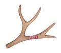 Decorative painted antler watercolour illustration. Royalty Free Stock Photo