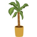 Decorative palm plant in pot vector flowerpot icon