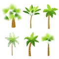 Decorative palm trees icons set Royalty Free Stock Photo