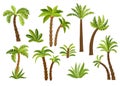 Decorative palm trees set. Royalty Free Stock Photo