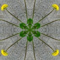 Decorative panel of leaves and flowers of dandelion