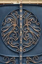 Decorative parts of metal gates, elements of hand forging