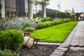 Decorative Path in the Garden lawn grass