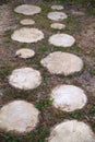 Decorative path in the garden from round wooden cuts