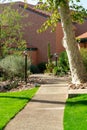 Decorative path with sidewalk in a park or recreation area with green grass and tall trees in a suburban area of the city