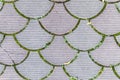 Decorative paving tile. background, texture, pattern. Royalty Free Stock Photo