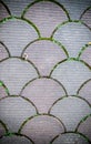 Decorative paving tile. background, texture, pattern. Royalty Free Stock Photo