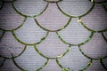 Decorative paving tile. background, texture, pattern. Royalty Free Stock Photo