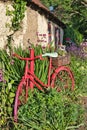 Decorative pedal bike in garden of an Irish cottege Royalty Free Stock Photo