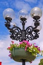 Decorative pendant basket with beautiful small flowers on the stolyae of the city lantern Royalty Free Stock Photo