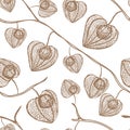Decorative physalis winter cherry pattern. Vector seamless background. Ornamental physalis line art hand drawing.