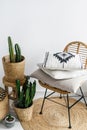 decorative pillows on chair near potted plants in living room Royalty Free Stock Photo