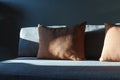 Decorative pillows and contemporary sofa