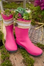 Decorative pink wellies Royalty Free Stock Photo