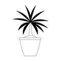 Decorative plant in a pot icon, flat design