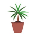 Decorative plant in a pot icon, flat design