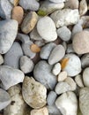 Decorative plant rock background image