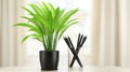 Decorative planters and an assortment of stationery are common elements of modern office desk decor Royalty Free Stock Photo