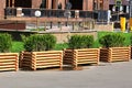 Decorative plants in the street