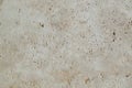 Decorative plaster of beige color with small holes, wall surface.