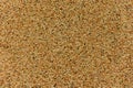 Decorative plaster or roughcast texture, pattern, background