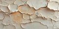 Decorative plaster is used to create a textured beige wall background Royalty Free Stock Photo