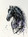 Black Fresian horse watercolors painted.